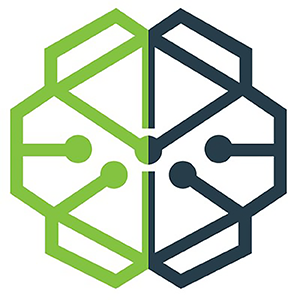 SwissBorg ico